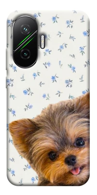 Чохол itsPrint Cute Yorkie для Xiaomi Poco F7, песики, купити оптом з доставкою