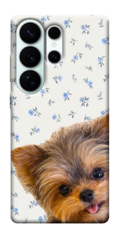 Чехол itsPrint Cute Yorkie для Samsung Galaxy S26 Ultra, песики, купить оптом с доставкой