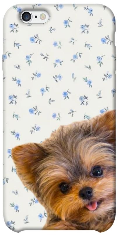 Чехол itsPrint Cute Yorkie для Apple iPhone 6/6s (4.7"), песики, купить оптом с доставкой