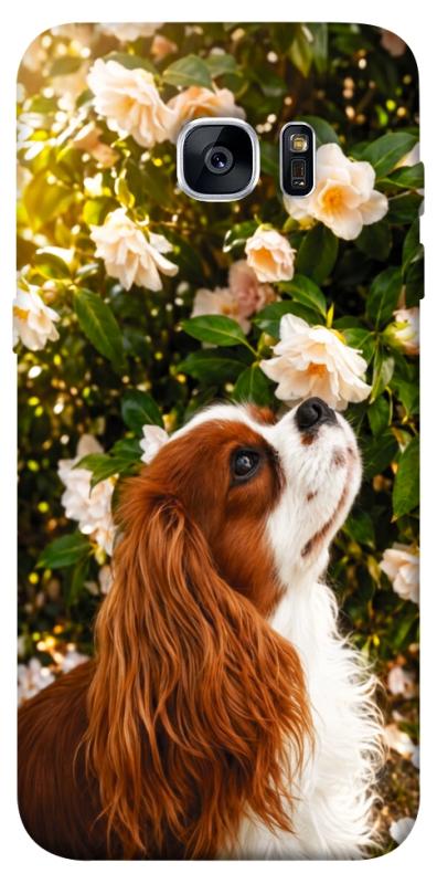 Чехол itsPrint Flower spaniel для Samsung G935F Galaxy S7 Edge, песики, купить оптом с доставкой