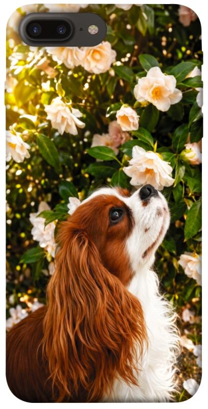 Чехол itsPrint Flower spaniel для Apple iPhone 7 plus / 8 plus (5.5"), песики, купить оптом с доставкой