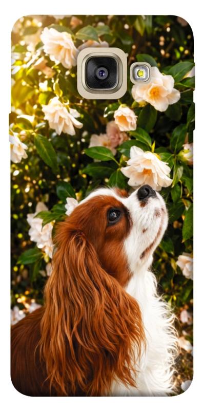 Чохол itsPrint Flower spaniel для Samsung A520 Galaxy A5 (2017), песики, купити оптом з доставкою