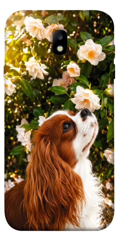 Чехол itsPrint Flower spaniel для Samsung J730 Galaxy J7 (2017), песики, купить оптом с доставкой