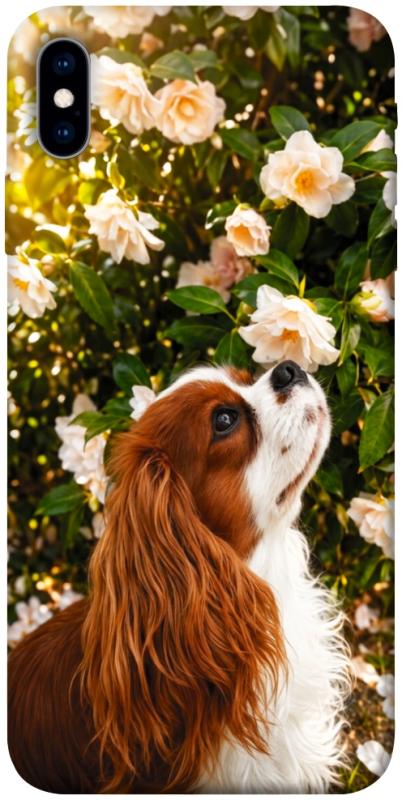 Чохол itsPrint Flower spaniel для Apple iPhone X (5.8"), песики, купити оптом з доставкою