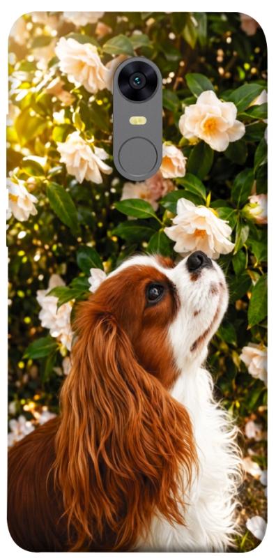 Чохол itsPrint Flower spaniel для Xiaomi Redmi 5 Plus / Redmi Note 5 (Single Camera), песики, купити оптом з доставкою