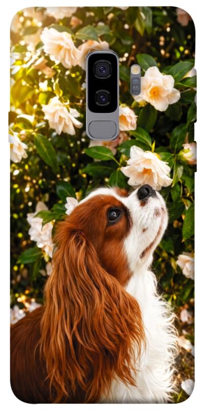 Чохол itsPrint Flower spaniel для Samsung Galaxy S9+, песики, купити оптом з доставкою