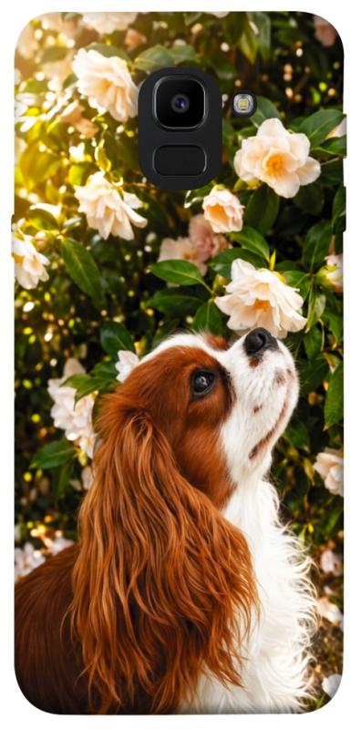 Чохол itsPrint Flower spaniel для Samsung J600F Galaxy J6 (2018), песики, купити оптом з доставкою