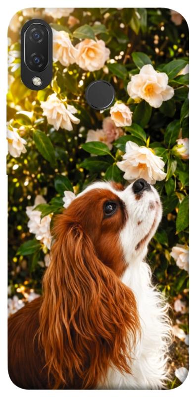 Чехол itsPrint Flower spaniel для Huawei P Smart+ (nova 3i), песики, купить оптом с доставкой
