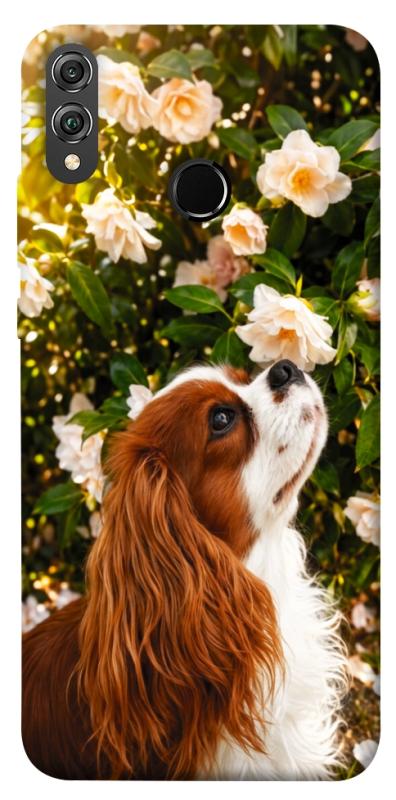 Чохол itsPrint Flower spaniel для Huawei Honor 8X, песики, купити оптом з доставкою