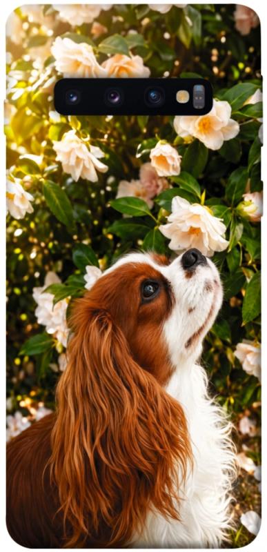 Чохол itsPrint Flower spaniel для Samsung Galaxy S10, песики, купити оптом з доставкою