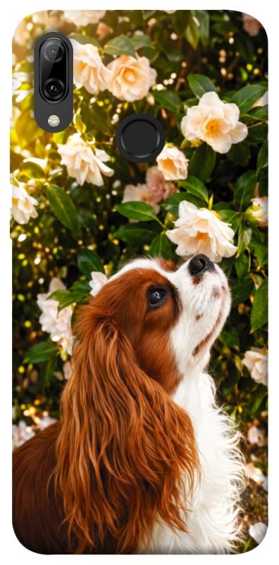 Чохол itsPrint Flower spaniel для Huawei P Smart (2019), песики, купити оптом з доставкою
