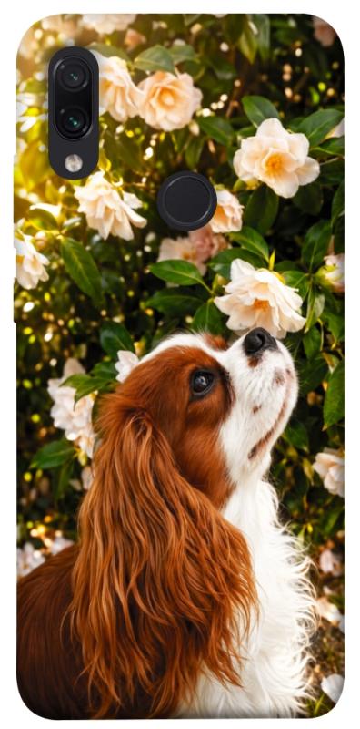 Чохол itsPrint Flower spaniel для Xiaomi Redmi Note 7 / Note 7 Pro / Note 7s, песики, купити оптом з доставкою