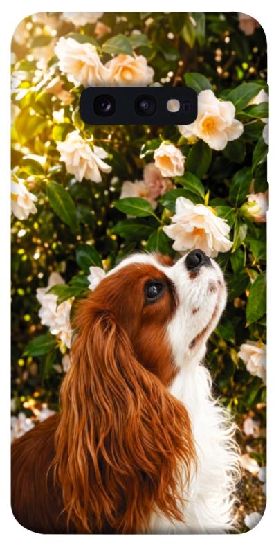 Чохол itsPrint Flower spaniel для Samsung Galaxy S10e, песики, купити оптом з доставкою