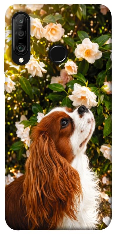 Чохол itsPrint Flower spaniel для Huawei P30 lite, песики, купити оптом з доставкою