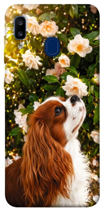 Чохол itsPrint Flower spaniel для Samsung Galaxy A20 / A30, песики, купити оптом з доставкою