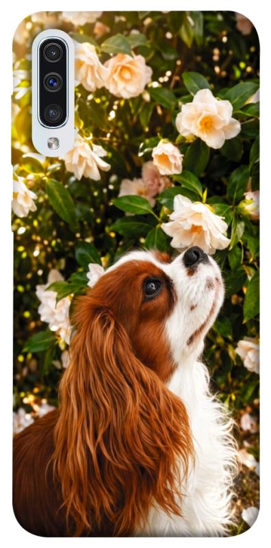 Чохол itsPrint Flower spaniel для Samsung Galaxy A50 (A505F) / A50s / A30s, песики, купити оптом з доставкою