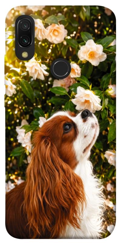 Чохол itsPrint Flower spaniel для Xiaomi Redmi 7, песики, купити оптом з доставкою