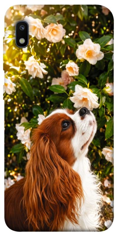 Чохол itsPrint Flower spaniel для Samsung Galaxy A10 (A105F), песики, купити оптом з доставкою