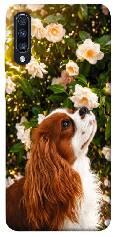Чохол itsPrint Flower spaniel для Samsung Galaxy A70 (A705F), песики, купити оптом з доставкою