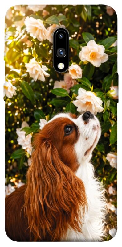 Чохол itsPrint Flower spaniel для OnePlus 7, песики, купити оптом з доставкою