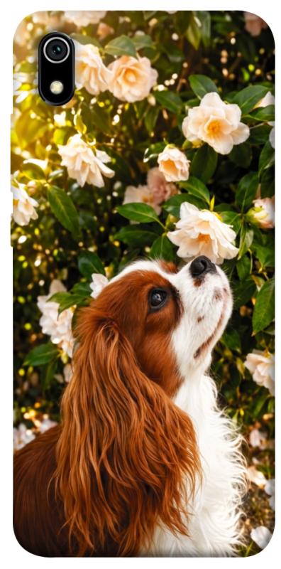 Чохол itsPrint Flower spaniel для Xiaomi Redmi 7A, песики, купити оптом з доставкою