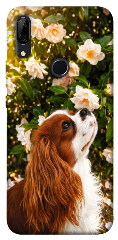 Чохол itsPrint Flower spaniel для Huawei P Smart Z, песики, купити оптом з доставкою
