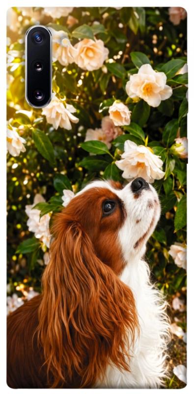 Чохол itsPrint Flower spaniel для Samsung Galaxy Note 10, песики, купити оптом з доставкою