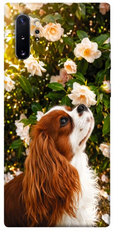 Чохол itsPrint Flower spaniel для Samsung Galaxy Note 10 Plus, песики, купити оптом з доставкою