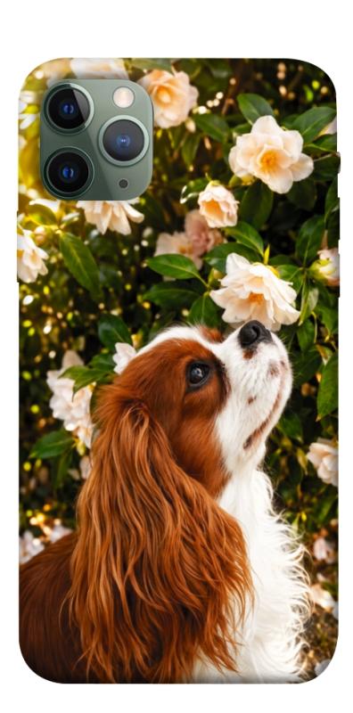 Чехол itsPrint Flower spaniel для Apple iPhone 11 Pro (5.8"), песики, купить оптом с доставкой