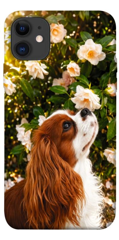 Чохол itsPrint Flower spaniel для Apple iPhone 11 (6.1"), песики, купити оптом з доставкою