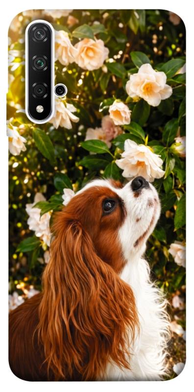 Чохол itsPrint Flower spaniel для Huawei Honor 20 / Nova 5T, песики, купити оптом з доставкою
