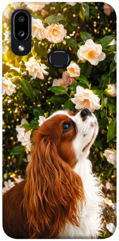Чехол itsPrint Flower spaniel для Samsung Galaxy A10s, песики, купить оптом с доставкой