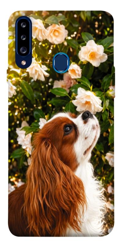 Чохол itsPrint Flower spaniel для Samsung Galaxy A20s, песики, купити оптом з доставкою