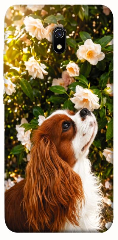 Чехол itsPrint Flower spaniel для Xiaomi Redmi 8a, песики, купить оптом с доставкой