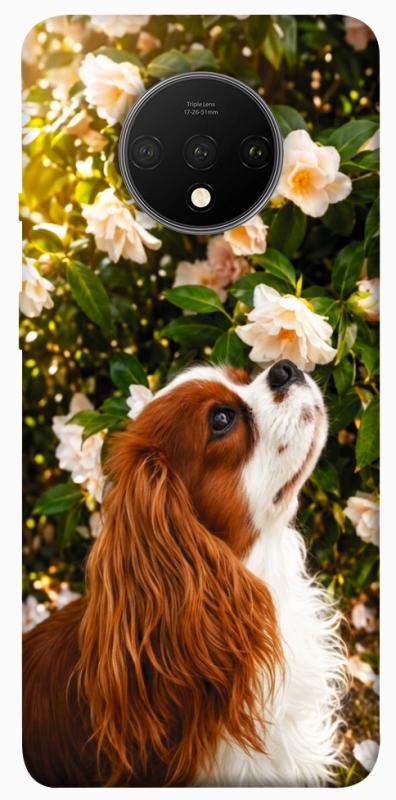 Чохол itsPrint Flower spaniel для OnePlus 7T, песики, купити оптом з доставкою