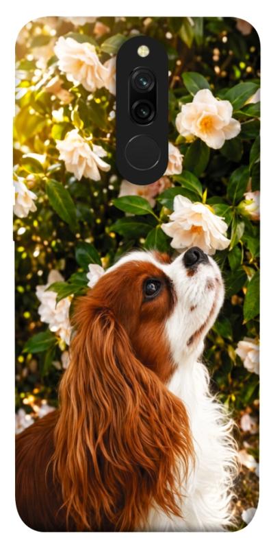 Чохол itsPrint Flower spaniel для Xiaomi Redmi 8, песики, купити оптом з доставкою