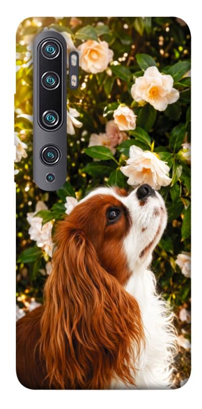 Чохол itsPrint Flower spaniel для Xiaomi Mi Note 10 / Note 10 Pro / Mi CC9 Pro, песики, купити оптом з доставкою