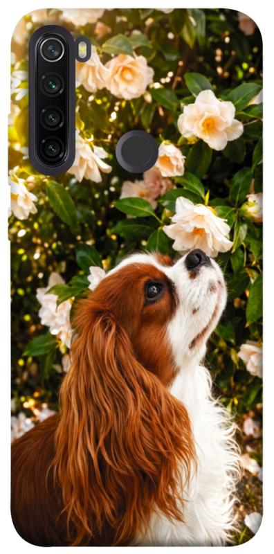Чохол itsPrint Flower spaniel для Xiaomi Redmi Note 8T, песики, купити оптом з доставкою