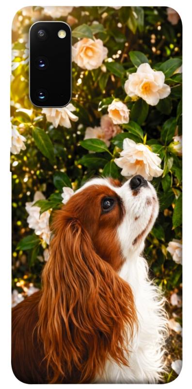 Чехол itsPrint Flower spaniel для Samsung Galaxy S20, песики, купить оптом с доставкой