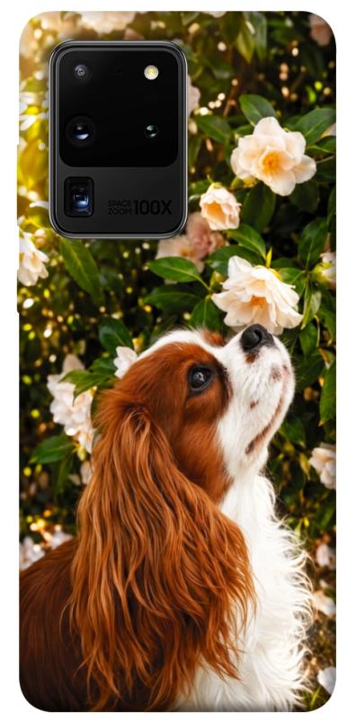 Чохол itsPrint Flower spaniel для Samsung Galaxy S20 Ultra, песики, купити оптом з доставкою