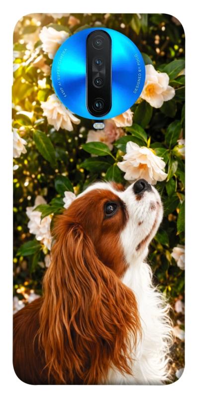 Чохол itsPrint Flower spaniel для Xiaomi Redmi K30, песики, купити оптом з доставкою