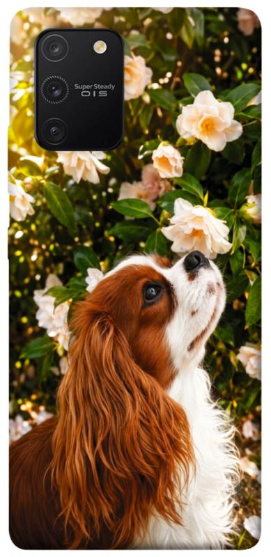 Чехол itsPrint Flower spaniel для Samsung Galaxy S10 Lite, песики, купить оптом с доставкой