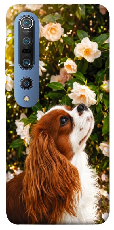 Чохол itsPrint Flower spaniel для Xiaomi Mi 10 / Mi 10 Pro, песики, купити оптом з доставкою