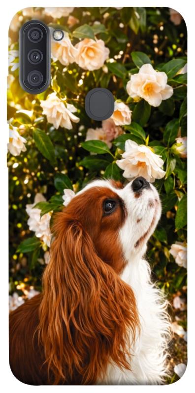 Чохол itsPrint Flower spaniel для Samsung Galaxy A11, песики, купити оптом з доставкою