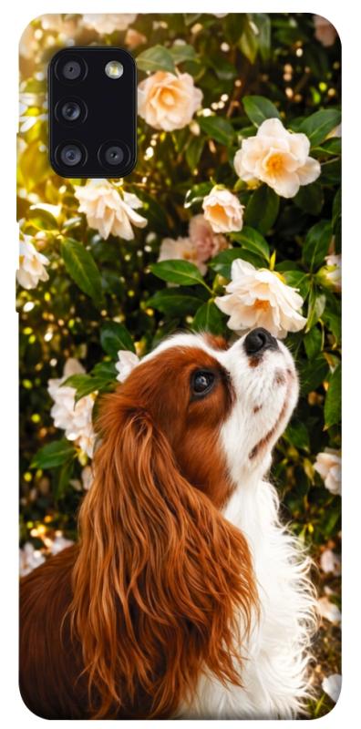 Чохол itsPrint Flower spaniel для Samsung Galaxy A31, песики, купити оптом з доставкою