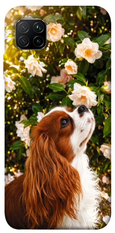 Чохол itsPrint Flower spaniel для Huawei P40 Lite, песики, купити оптом з доставкою
