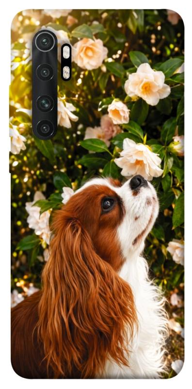 Чохол itsPrint Flower spaniel для Xiaomi Mi Note 10 Lite, песики, купити оптом з доставкою