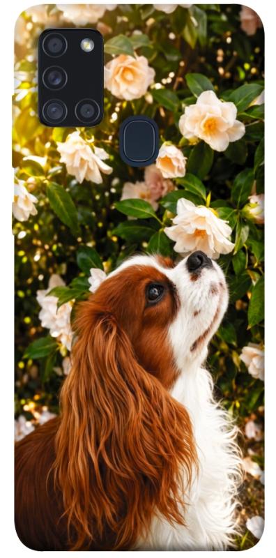Чехол itsPrint Flower spaniel для Samsung Galaxy A21s, песики, купить оптом с доставкой