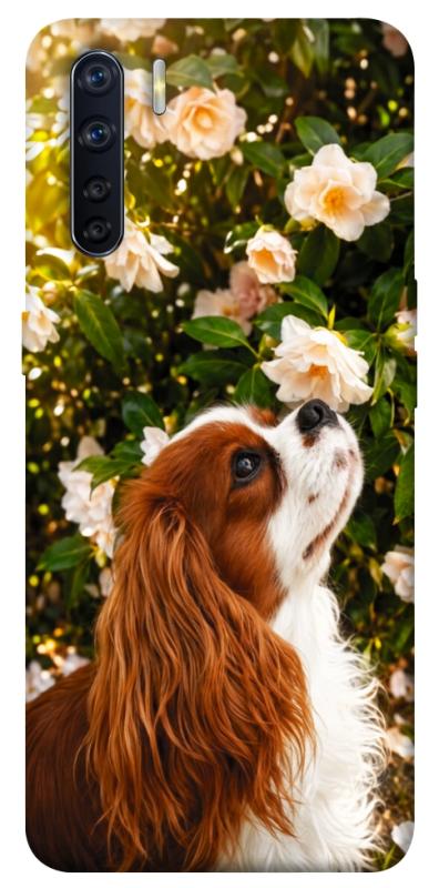 Чохол itsPrint Flower spaniel для Oppo A91, песики, купити оптом з доставкою