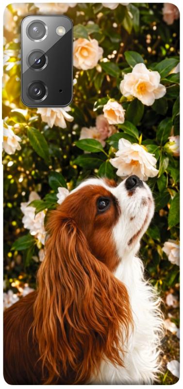 Чохол itsPrint Flower spaniel для Samsung Galaxy Note 20, песики, купити оптом з доставкою